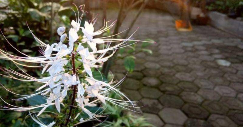 Pinterest.com/Fathia Qudsy